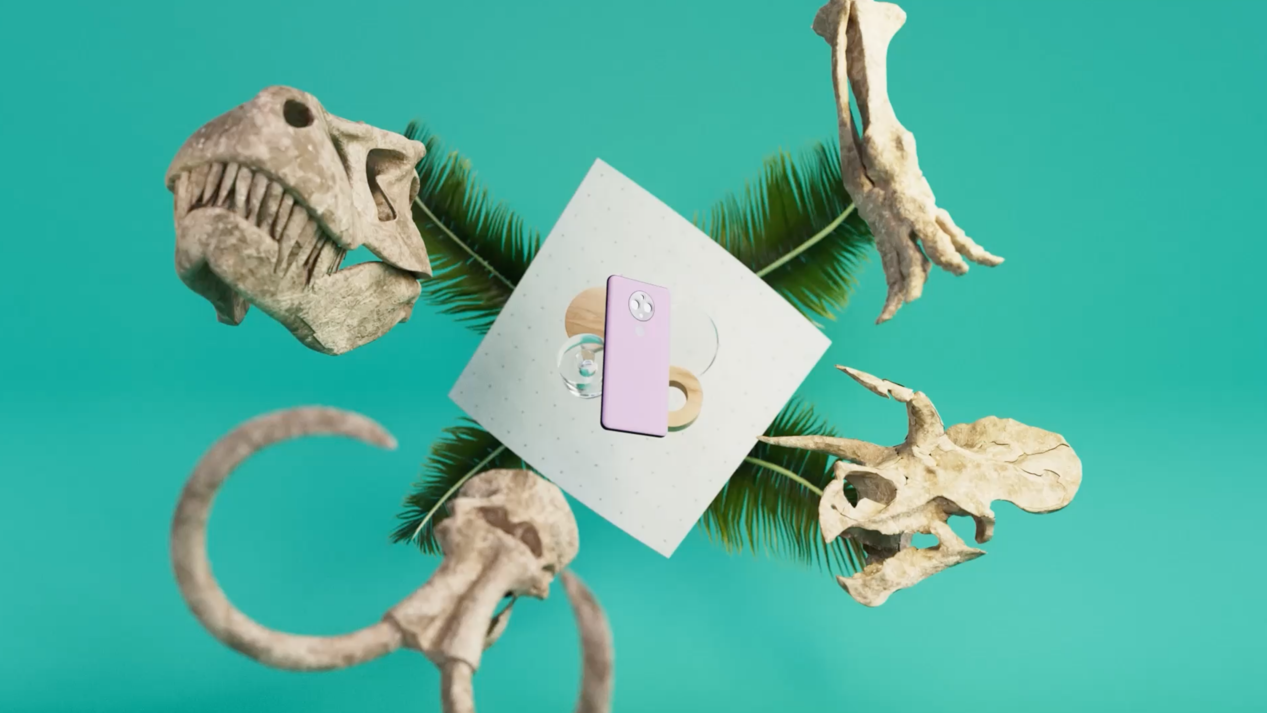 アート・デザイン・音楽 SMITHSONIAN NATURAL HISTORY Smithsonian Natural History | Boncom