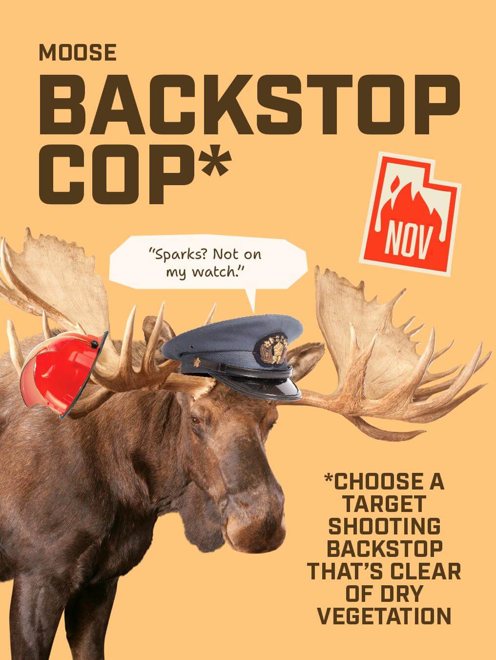 A social media banner with an image of a moose describing the dangers of not having proper backstops in place during target practice.